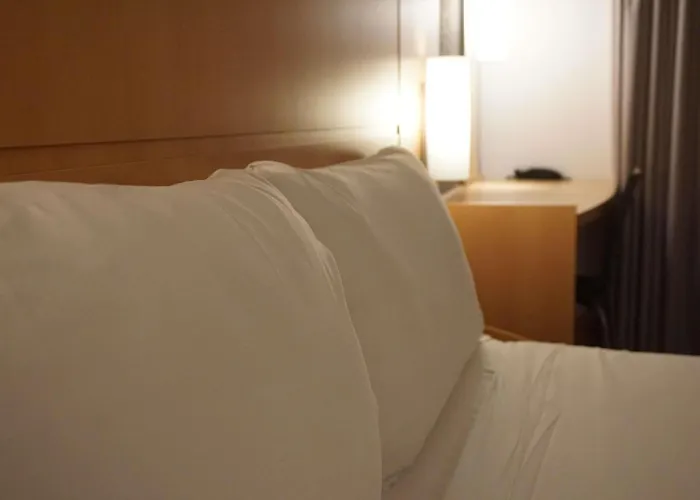 Ibis Hotel